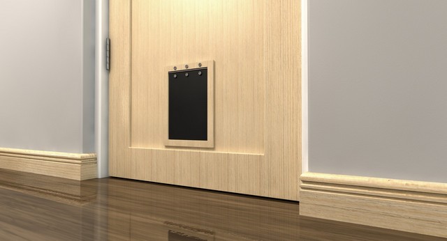 Cat Flap Installation Bromley, Bickley, Downham, BR1