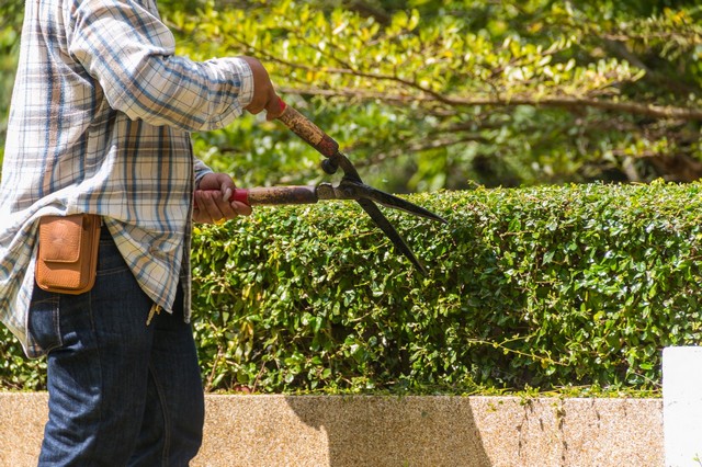 Garden Maintenance Bromley, Bickley, Downham, BR1
